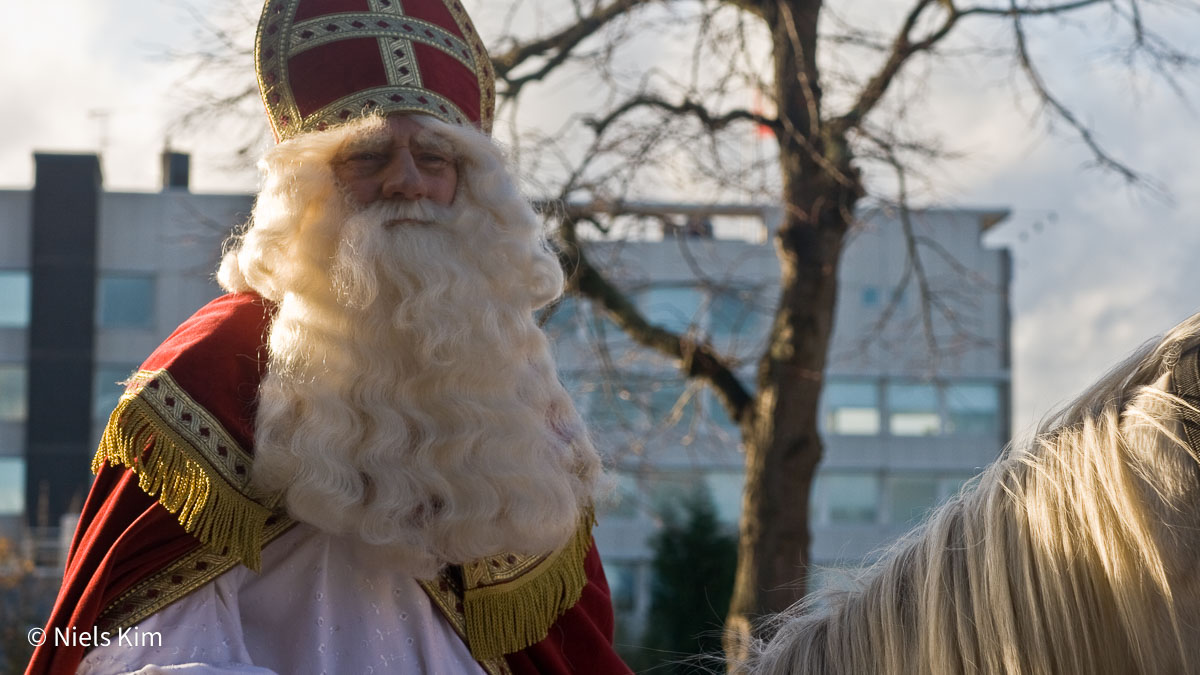 Foto: Intocht Sinterklaas in Zaandam 2009 (1622)