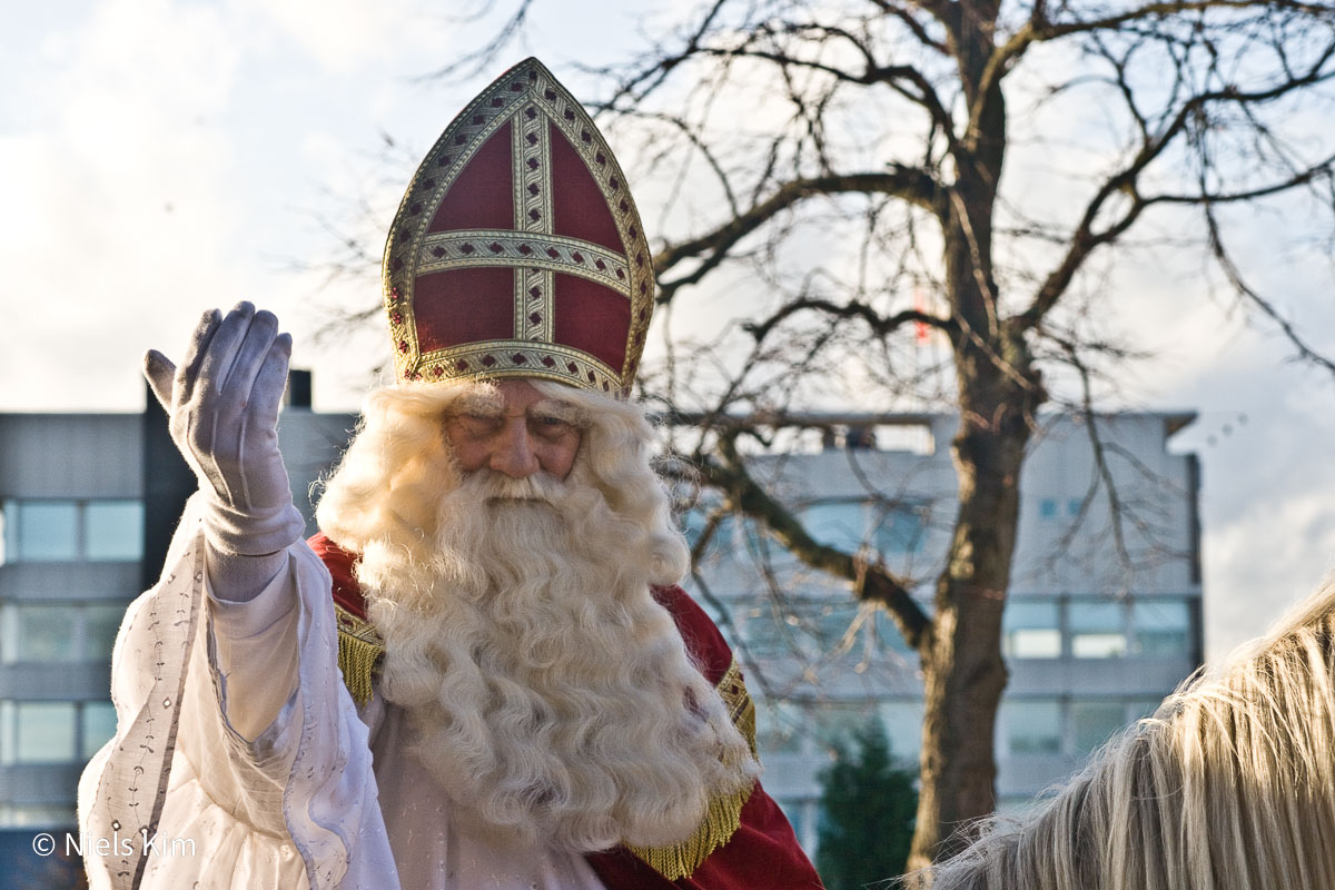 Foto: Intocht Sinterklaas in Zaandam 2009 (1623)