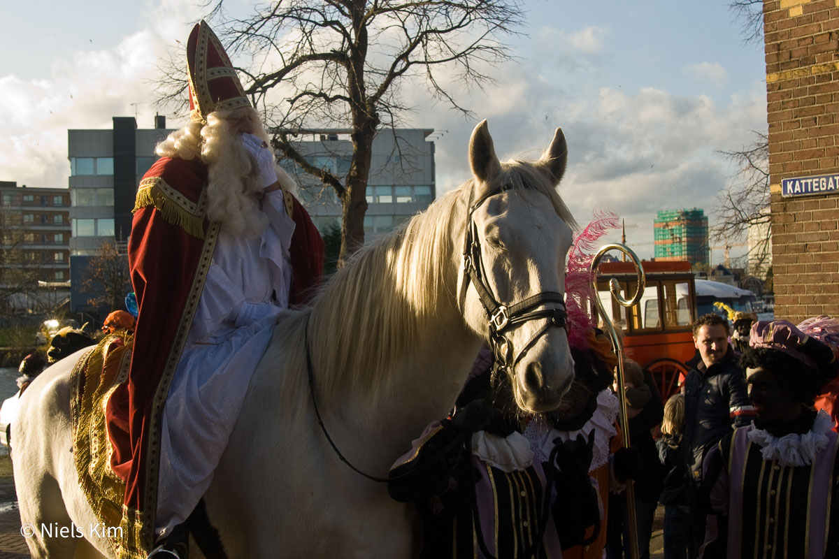 Foto: Intocht Sinterklaas in Zaandam 2009 (1625)