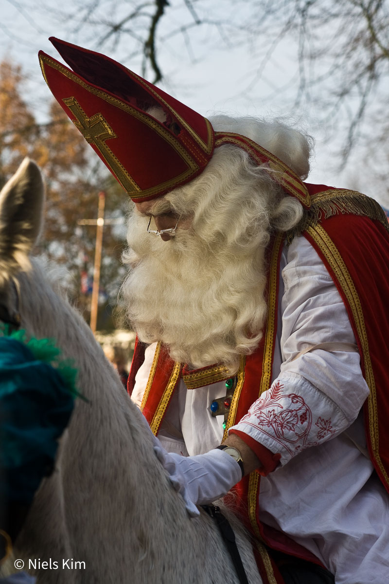 Foto: Intocht Sinterklaas in Groningen 2009 (1697)