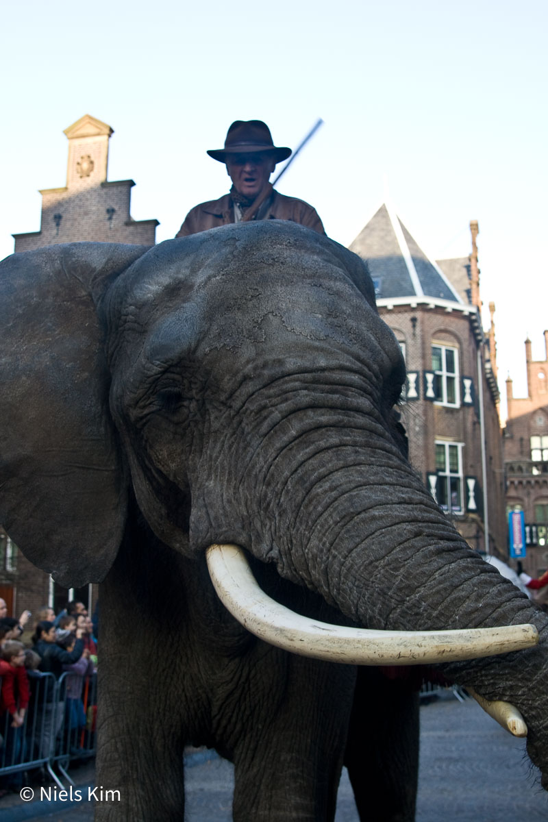 Foto: Intocht Sinterklaas in Groningen 2009 (1734)