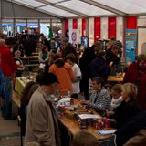 Foto: Groningen Mini Maker Faire 2013 (3842)